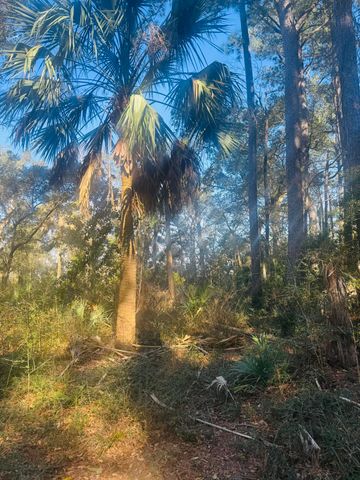00 Rosa Scott Road, Edisto Island, SC 29438