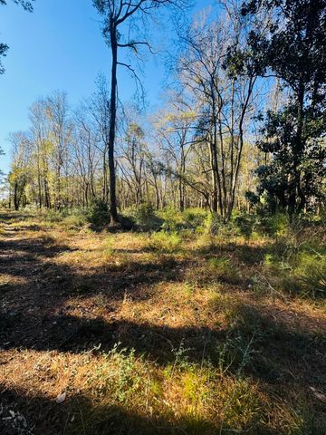 00 Rosa Scott Road, Edisto Island, SC 29438