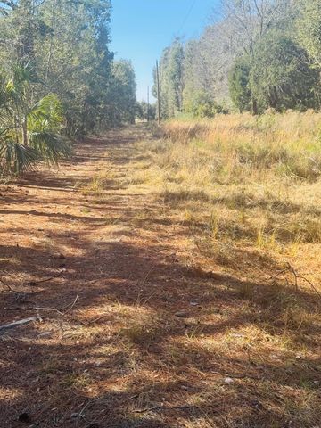 00 Rosa Scott Road, Edisto Island, SC 29438