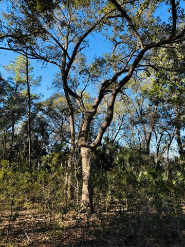 00 Rosa Scott Road, Edisto Island, SC 29438