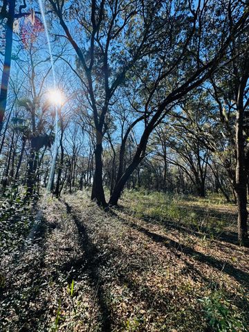 00 Rosa Scott Road, Edisto Island, SC 29438