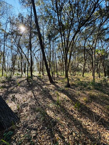 00 Rosa Scott Road, Edisto Island, SC 29438