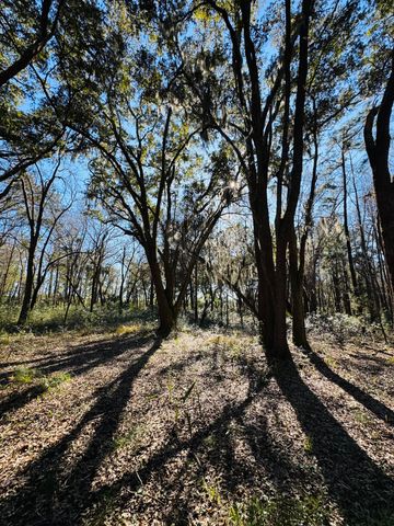 00 Rosa Scott Road, Edisto Island, SC 29438