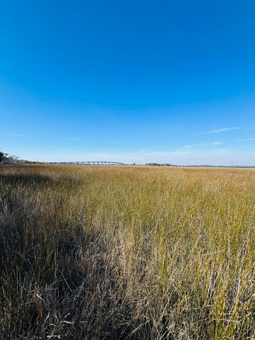 00 Rosa Scott Road, Edisto Island, SC 29438