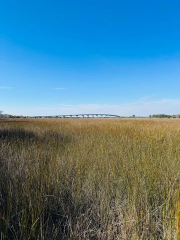 00 Rosa Scott Road, Edisto Island, SC 29438