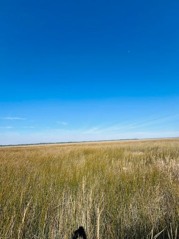 00 Rosa Scott Road, Edisto Island, SC 29438