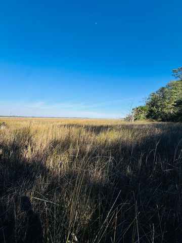 00 Rosa Scott Road, Edisto Island, SC 29438