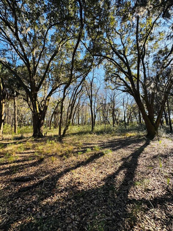 Image 1 of property listing at 00 Rosa Scott Road, Edisto Island, SC 29438