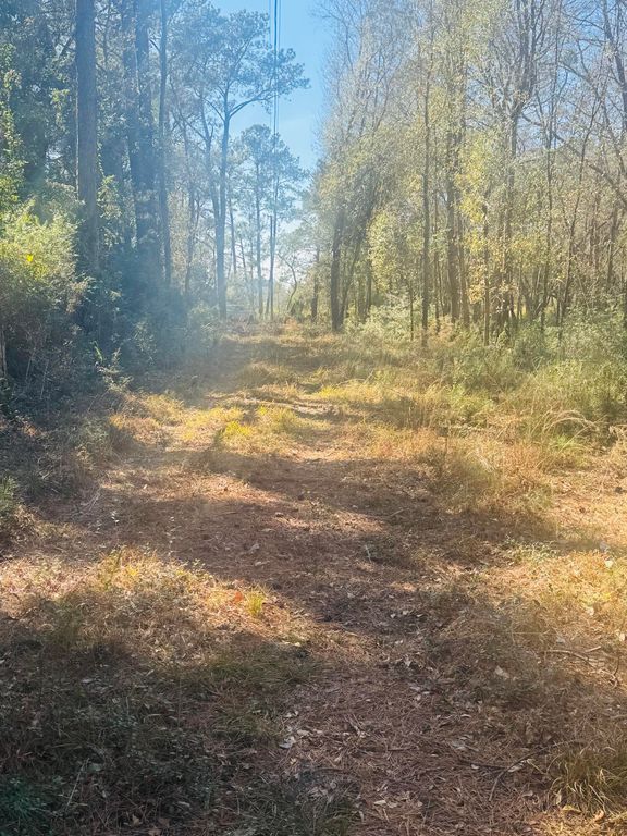 Image 12 of property listing at 00 Rosa Scott Road, Edisto Island, SC 29438