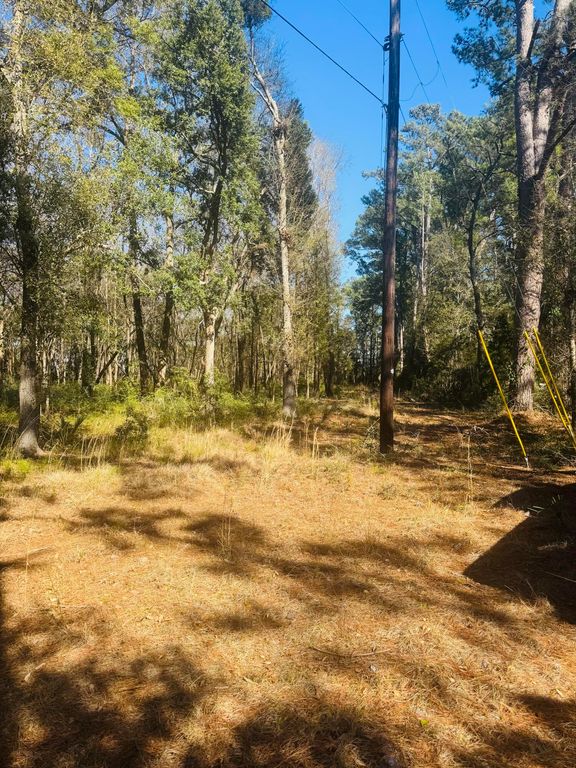 Image 13 of property listing at 00 Rosa Scott Road, Edisto Island, SC 29438