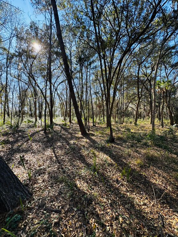 Image 17 of property listing at 00 Rosa Scott Road, Edisto Island, SC 29438