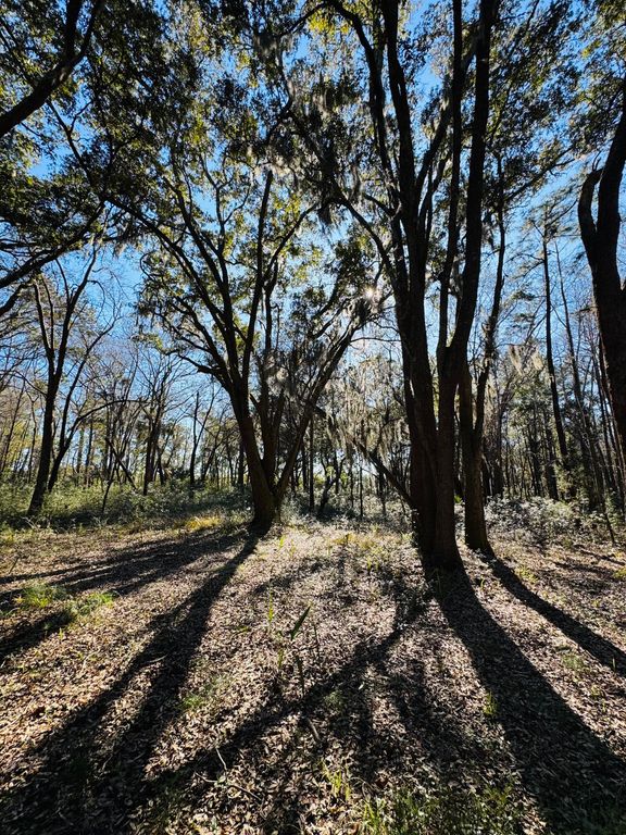 Image 18 of property listing at 00 Rosa Scott Road, Edisto Island, SC 29438