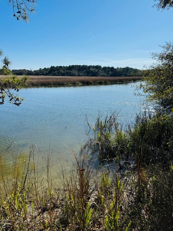 Image 2 of property listing at 00 Rosa Scott Road, Edisto Island, SC 29438