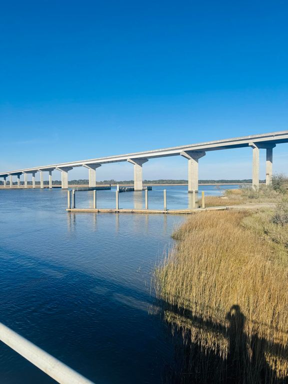 Image 20 of property listing at 00 Rosa Scott Road, Edisto Island, SC 29438