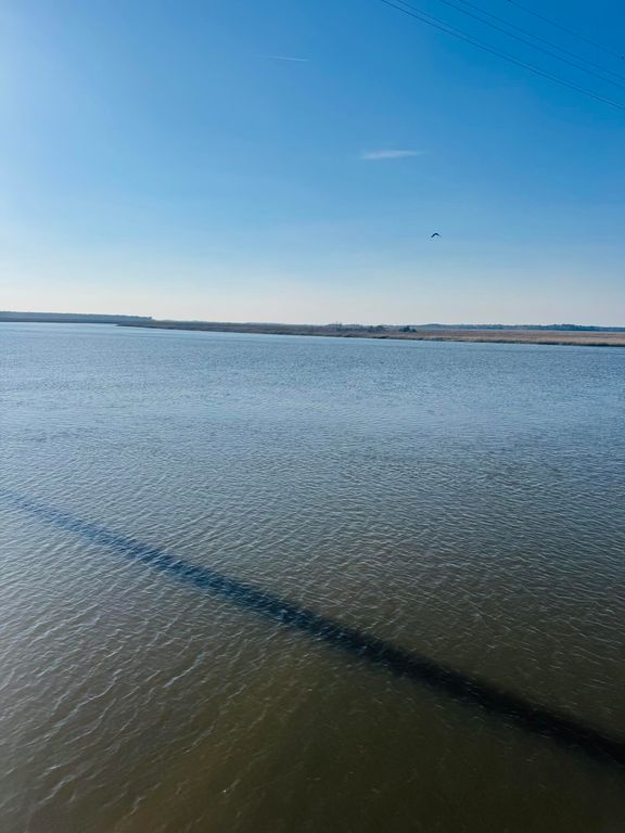 Image 23 of property listing at 00 Rosa Scott Road, Edisto Island, SC 29438