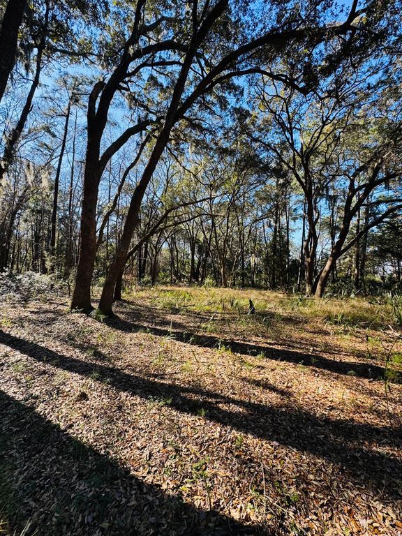 Image 3 of property listing at 00 Rosa Scott Road, Edisto Island, SC 29438