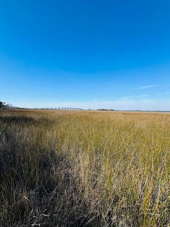 Image 5 of property listing at 00 Rosa Scott Road, Edisto Island, SC 29438