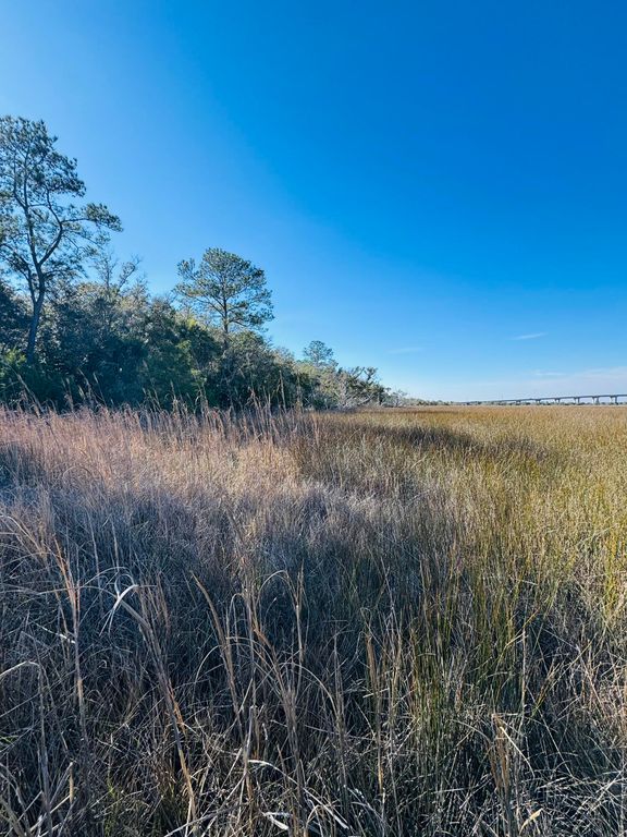 Image 7 of property listing at 00 Rosa Scott Road, Edisto Island, SC 29438