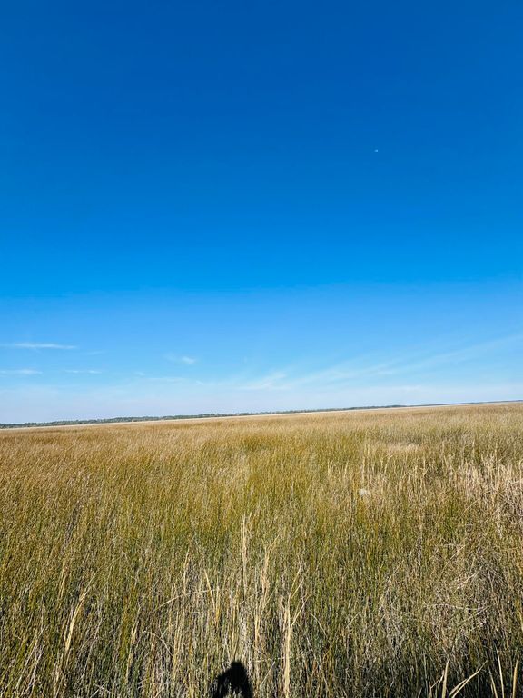 Image 8 of property listing at 00 Rosa Scott Road, Edisto Island, SC 29438