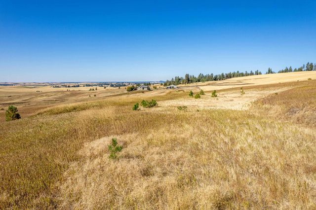 NKA Thunder Mountain Ln, Valleyford, WA 99036