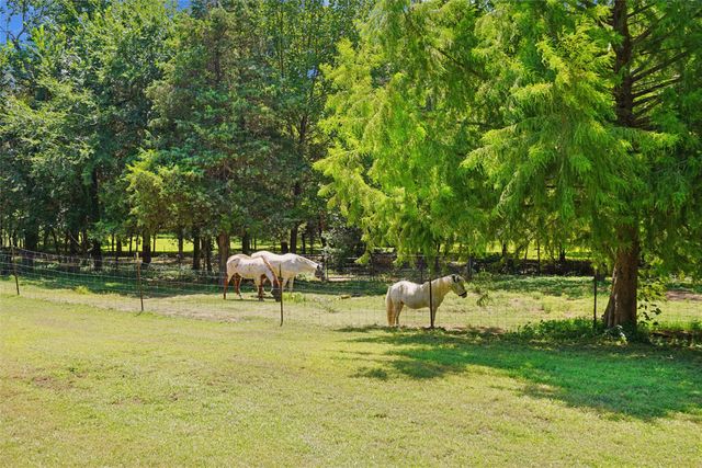 1433 Old Sadler Road, Sadler, TX 76264