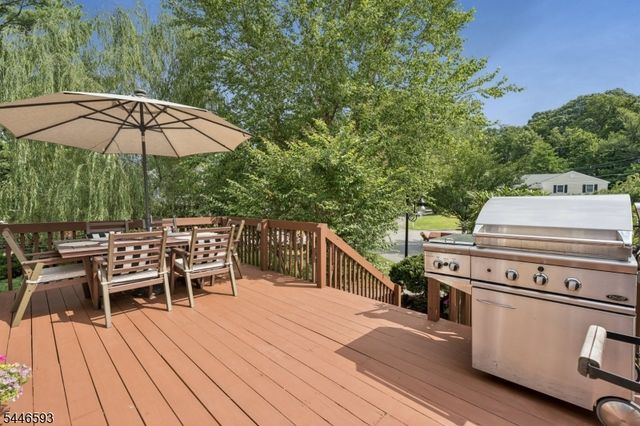 19 Turtle Rd, Morris Twp., NJ 07960
