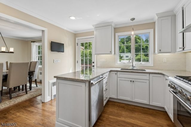 19 Turtle Rd, Morris Twp., NJ 07960