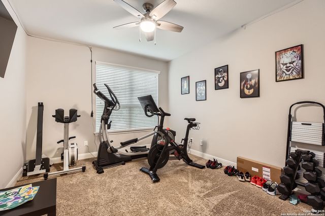 3814 Sweet Olive, San Antonio, TX 78261