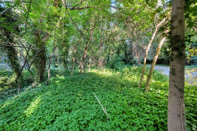 2571 E HILLSDEN DR, Salt Lake City, UT 84117