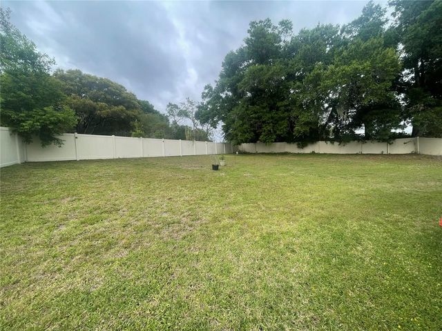 824 VINO VERDE CIRCLE, Brandon, FL 33511