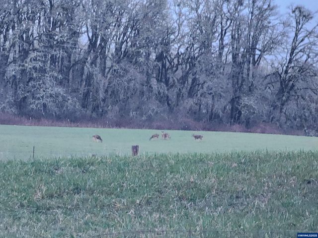 24088 SW Highway 18 Hwy, Sheridan, OR 97378