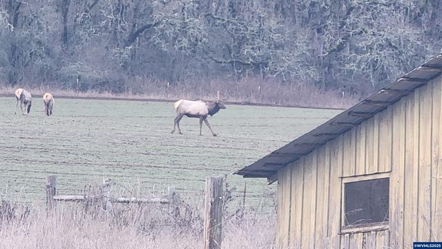 24088 SW Highway 18 Hwy, Sheridan, OR 97378