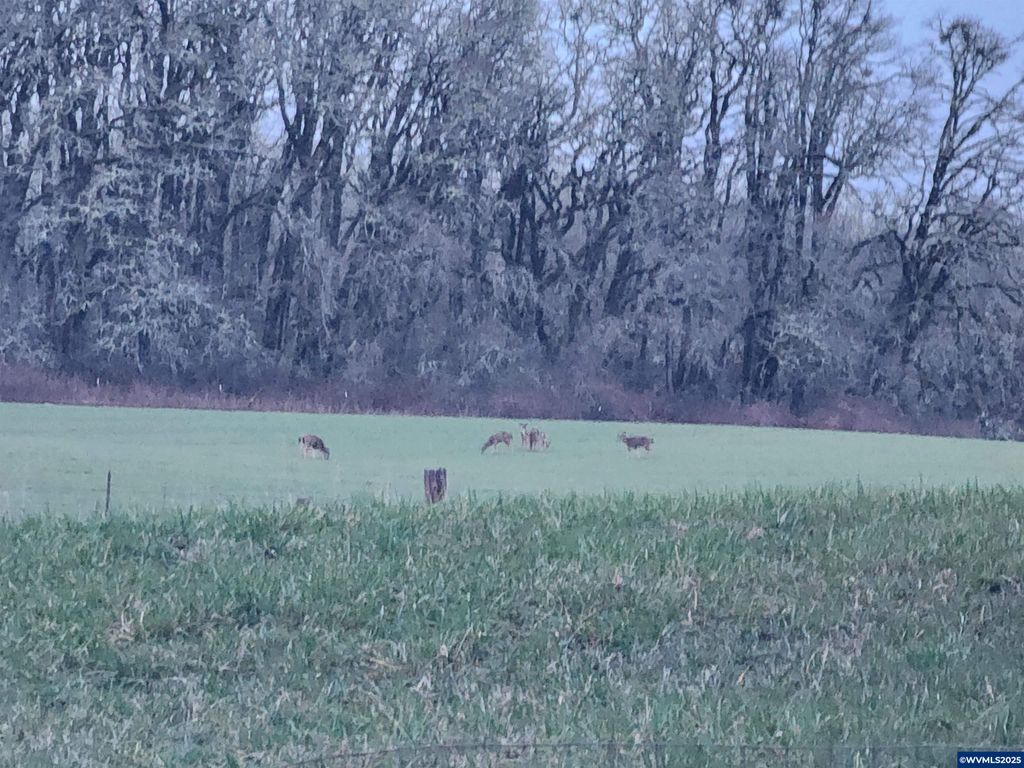 Image 45 of property listing at 24088 SW Highway 18 Hwy, Sheridan, OR 97378