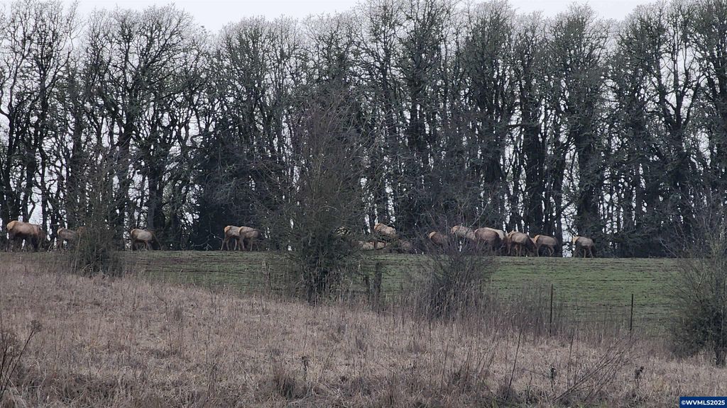 Image 46 of property listing at 24088 SW Highway 18 Hwy, Sheridan, OR 97378