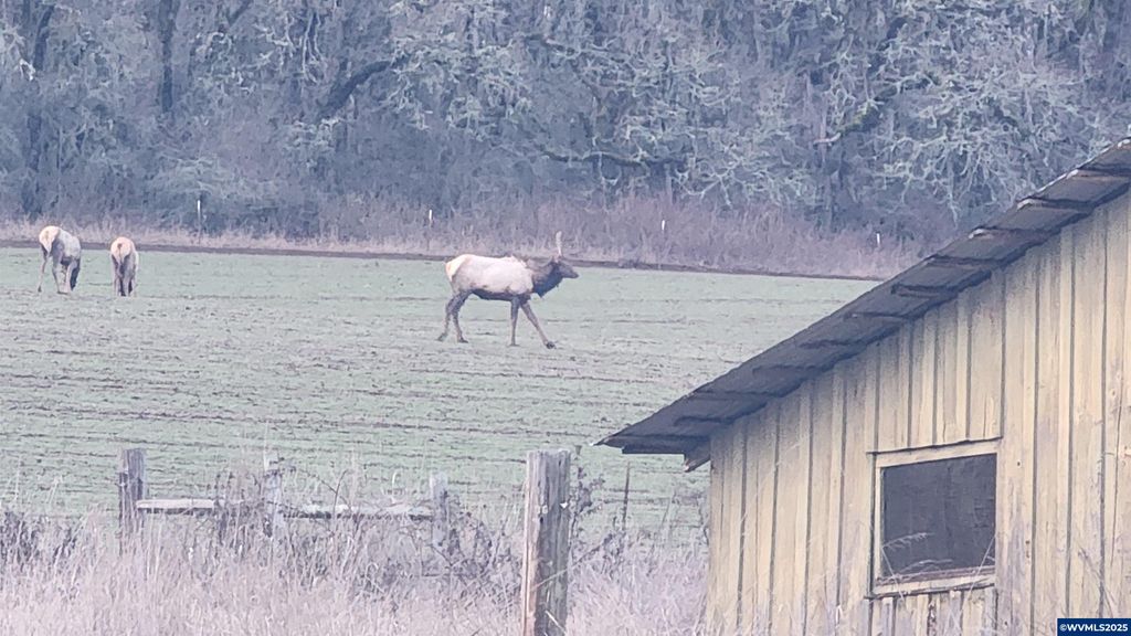 Image 47 of property listing at 24088 SW Highway 18 Hwy, Sheridan, OR 97378