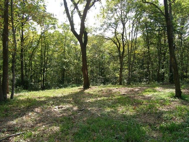 0 Sugar Ridge, Spring Hill, TN 37174