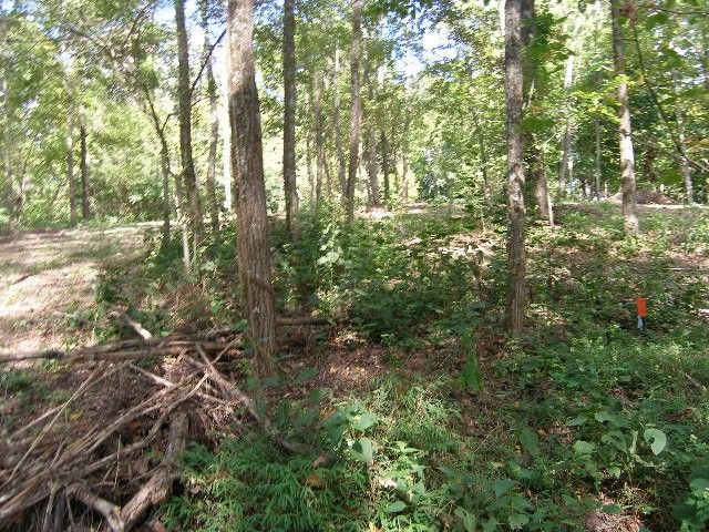 0 Sugar Ridge, Spring Hill, TN 37174