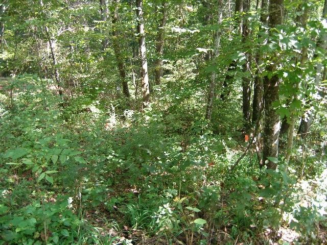0 Sugar Ridge, Spring Hill, TN 37174