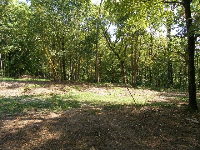 0 Sugar Ridge, Spring Hill, TN 37174