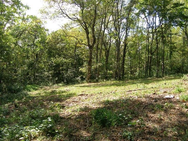 0 Sugar Ridge, Spring Hill, TN 37174
