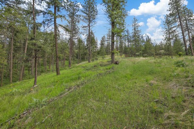 NKA Weaver Way, Deer Park, WA 99006