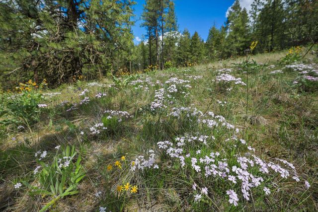 NKA Weaver Way, Deer Park, WA 99006