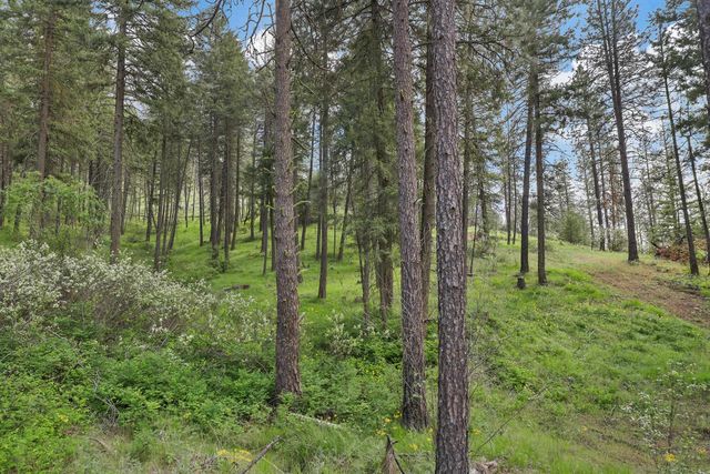 NKA Weaver Way, Deer Park, WA 99006