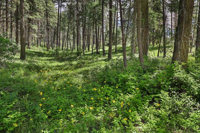 NKA Weaver Way, Deer Park, WA 99006