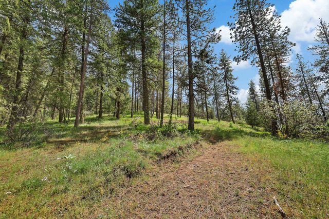 NKA Weaver Way, Deer Park, WA 99006