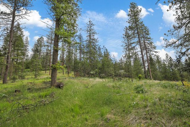 NKA Weaver Way, Deer Park, WA 99006