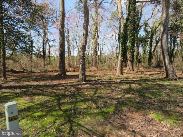 219 TIMBERLINE CIR, Berlin, MD 21811