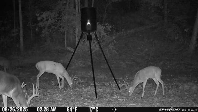 11499 (Tract 1) Sallie Drive, Rogers, AR 72756