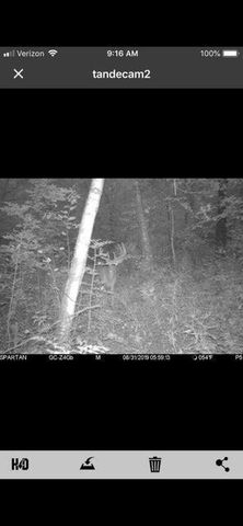 N7534 Skoy Coulee Road, Mindoro, WI 54644