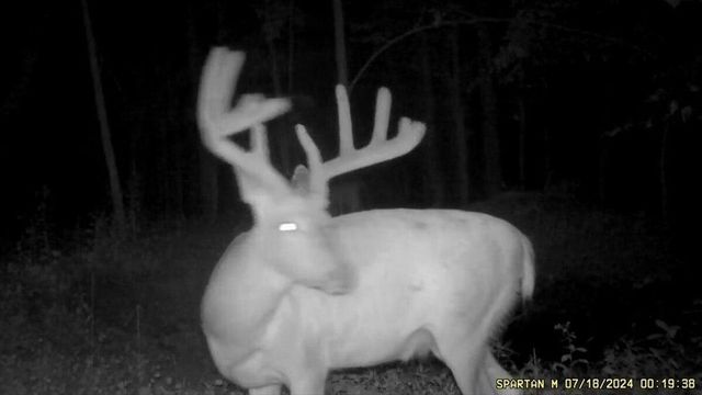 N7534 Skoy Coulee Road, Mindoro, WI 54644